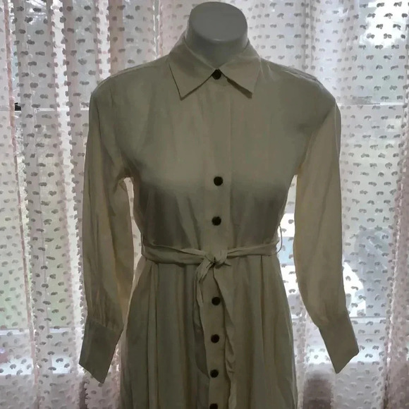 Banana Republic Belted Tencel Shirtdress - Picture 5 of 15